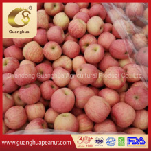 Factory Directly Supply Fresh Red FUJI Apple From Shandong